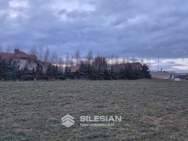 Działka budowlana Witoszów Dolny, Witoszów Dolny. Zdjęcie 5