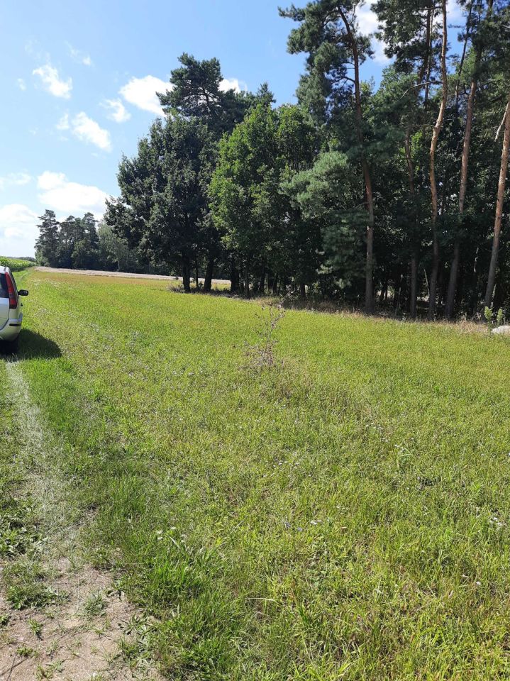 Działka budowlana Głodowo. Zdjęcie 6