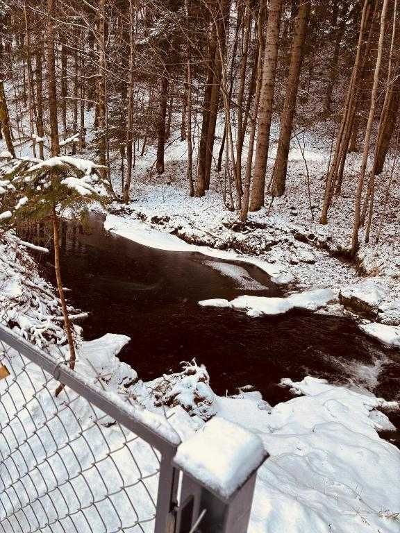 dom wolnostojący Zawoja Wełcza. Zdjęcie 6