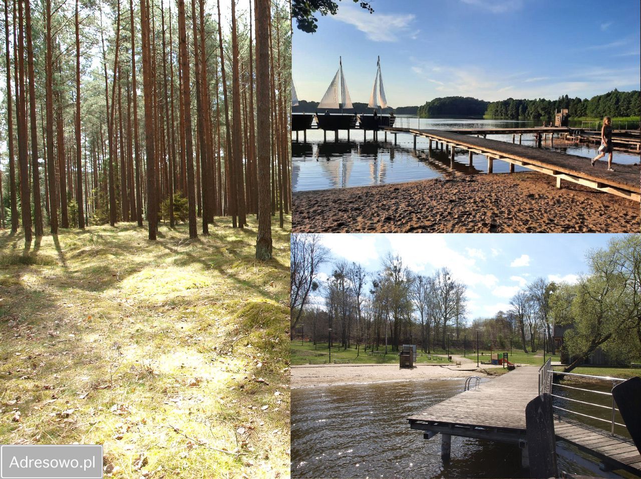 Działka rekreacyjna Lipy. Zdjęcie 15
