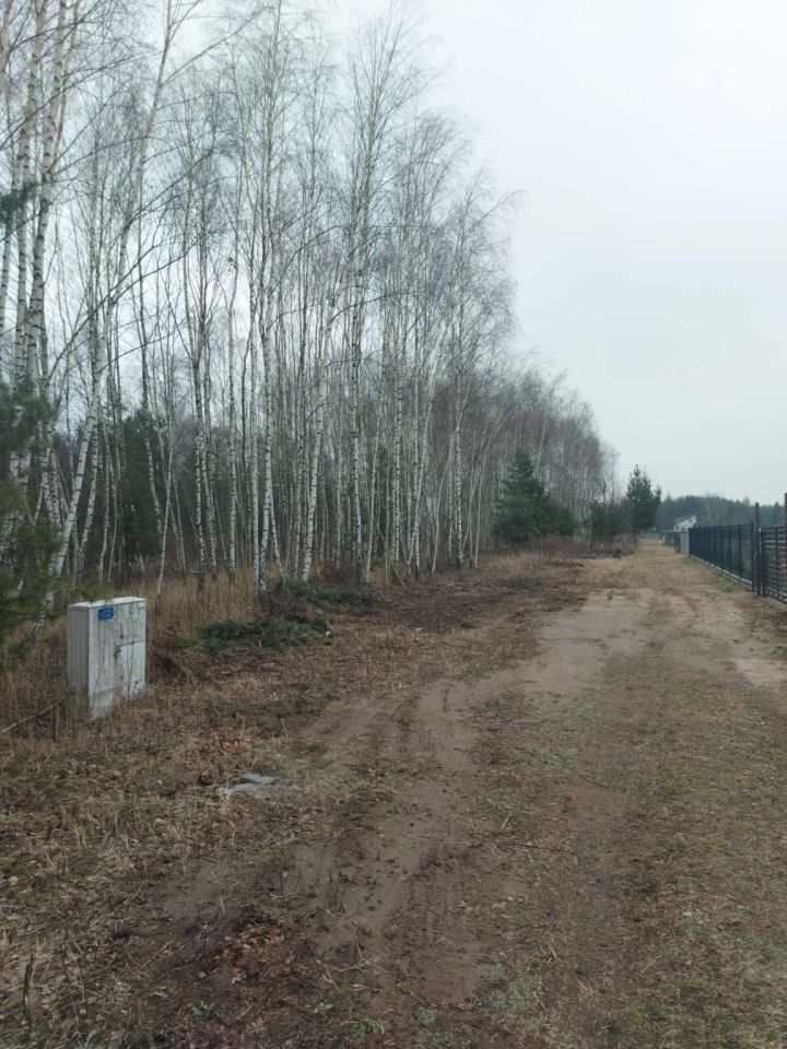 Działka budowlana Załuski. Zdjęcie 8