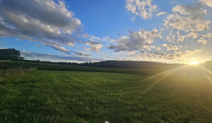 Działka budowlana Popiołki