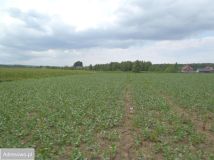 Działka budowlana Kleszczewo, ul. Brzozowa. Zdjęcie 4