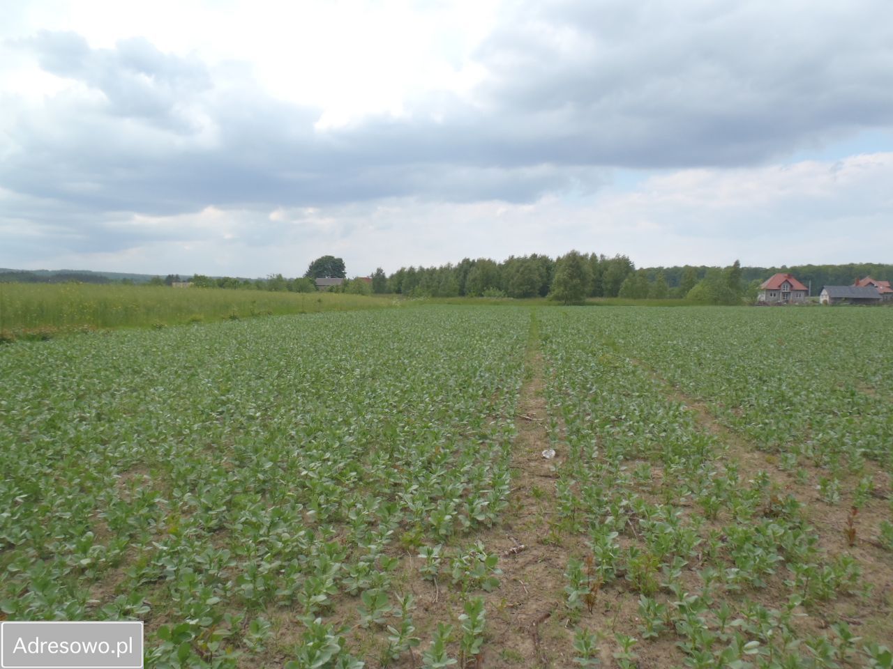 Działka budowlana Kleszczewo, ul. Brzozowa. Zdjęcie 5