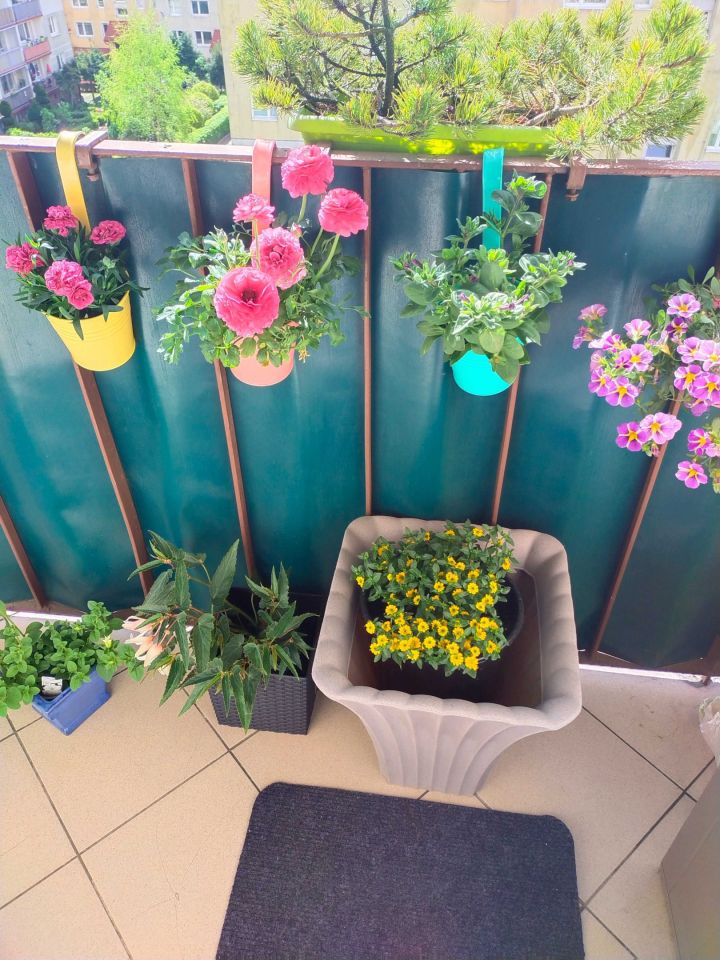 Mieszkanie 3-pokojowe Słupsk, ul. gen. Tadeusza Bora-Komorowskiego. Zdjęcie 6