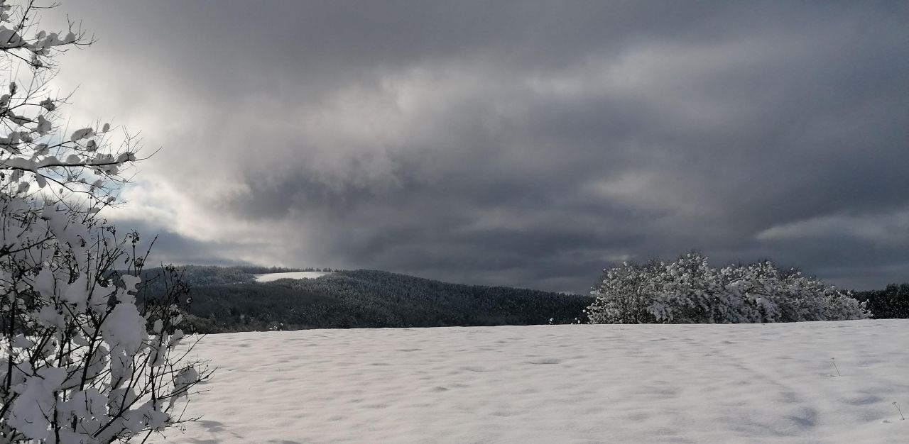 Działka rekreacyjna Rybotycze. Zdjęcie 51
