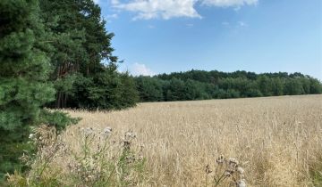 Działka rolno-budowlana Stary Adamów