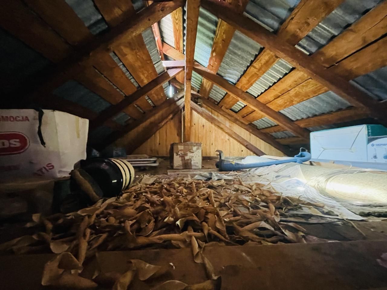 Działka rod Rzeszów Zalesie. Zdjęcie 10