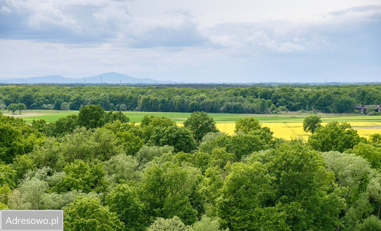 Działka budowlana Kotowice, ul. Ogrodowa. Zdjęcie 7
