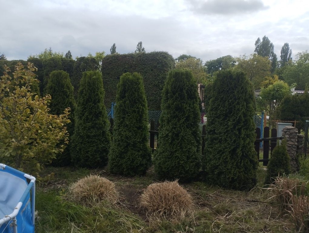 Działka rod Gniezno, ul. Powstańców Wlkp.. Zdjęcie 3