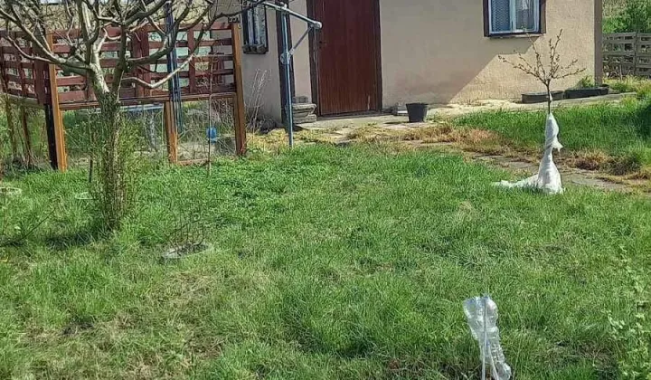 Działka rod Międzyrzecz