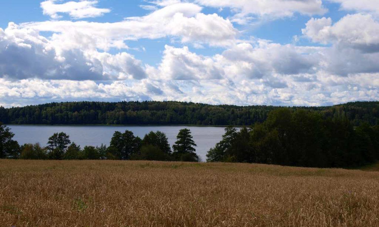 Działka rolna Ramsowo. Zdjęcie 3