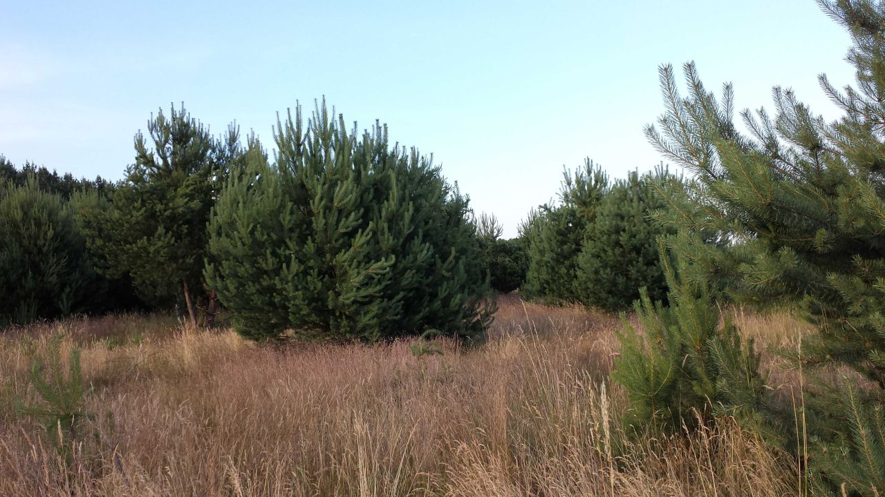 Land, 3331 m²