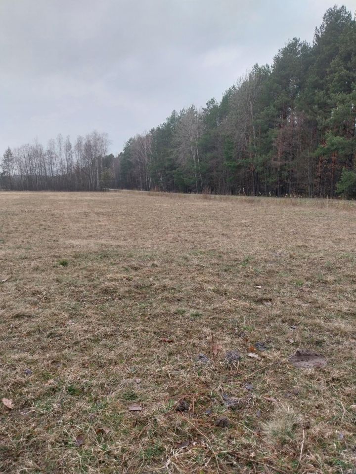 Działka budowlana Golce. Zdjęcie 4