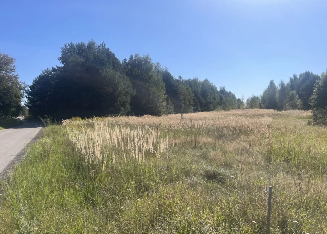 Działka rolno-budowlana Biała Wielka Wojewódze. Zdjęcie 3