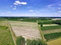 Działka budowlana Gośniewice. Zdjęcie 3