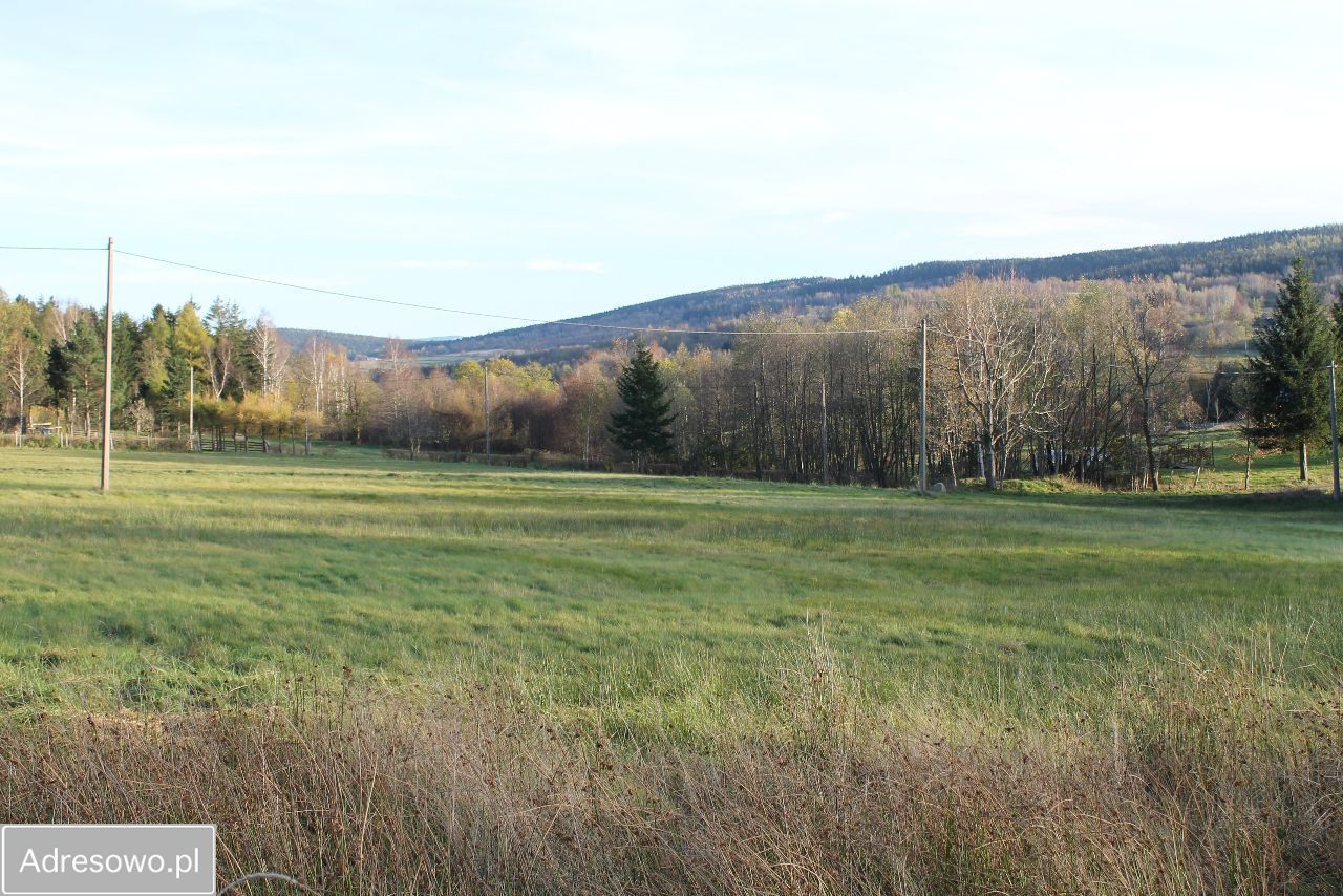 Działka rolna Antoniów