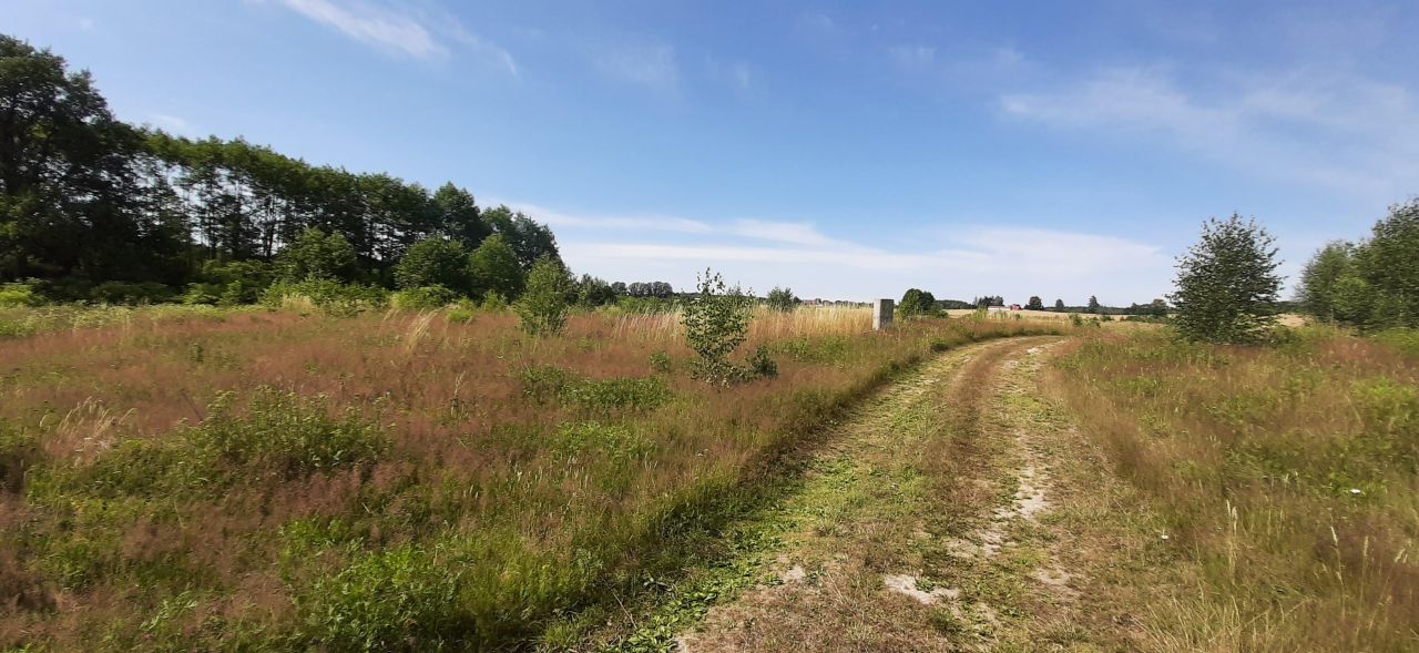 Działka budowlana Dziśnity. Zdjęcie 6