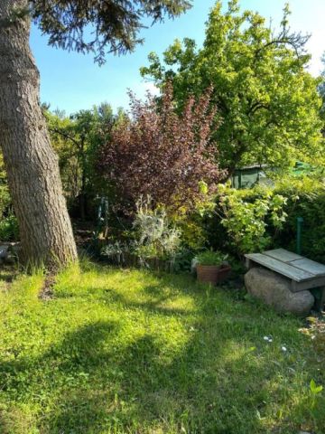 Działka rod Gdańsk Morena. Zdjęcie 1