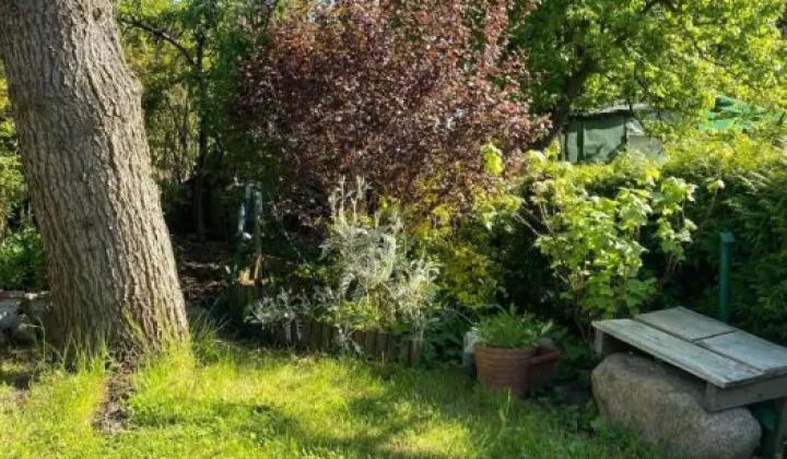 Działka rod Gdańsk Morena