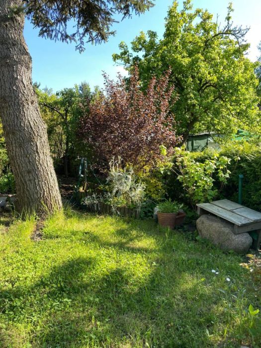 Działka rod Gdańsk Morena