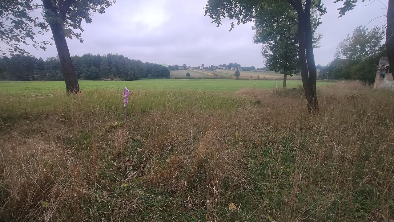 Działka rolno-budowlana Warzyn Pierwszy. Zdjęcie 4