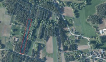 Działka leśna Mogielnica