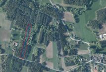 Działka leśna Mogielnica. Zdjęcie 1