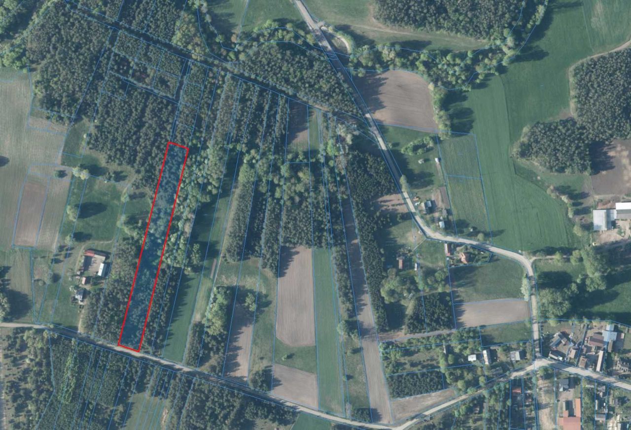 Działka leśna Mogielnica. Zdjęcie 2