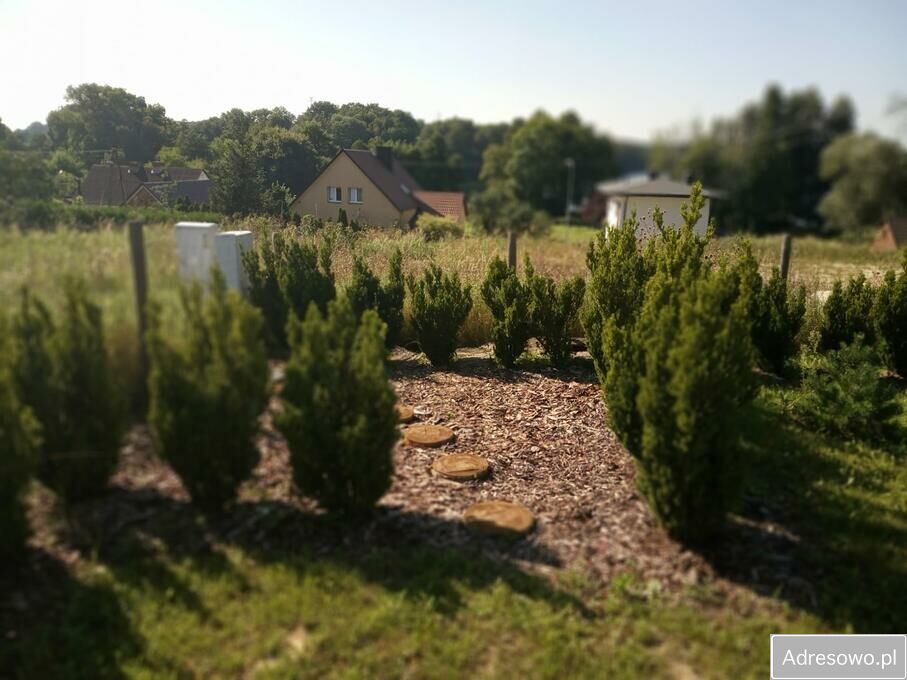 Działka budowlana Prusim. Zdjęcie 9