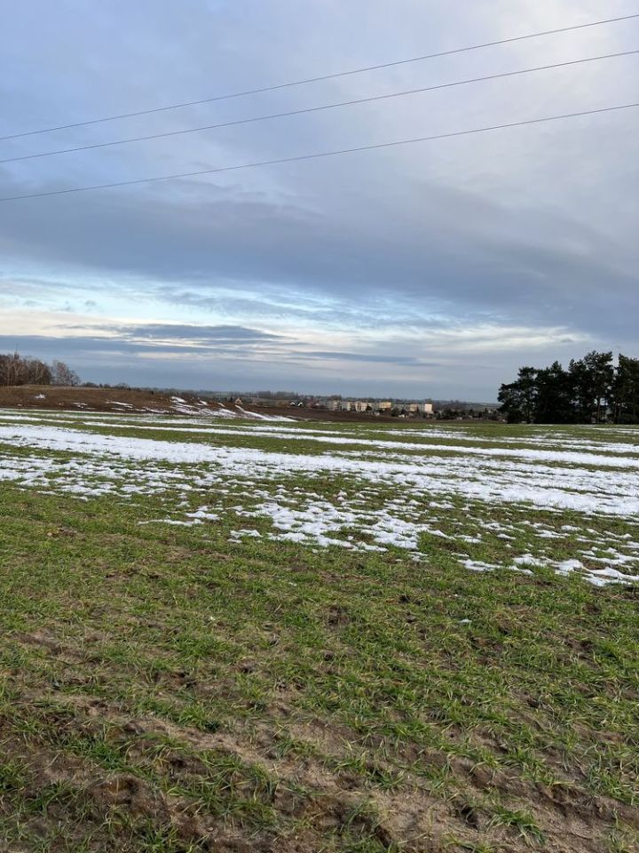 Działka rolno-budowlana Rajkowy. Zdjęcie 5