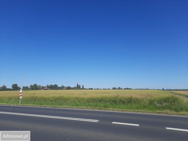 Działka rolna Kuczyna. Zdjęcie 1