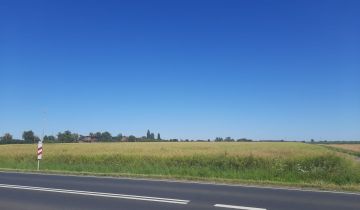 Działka rolna Kuczyna