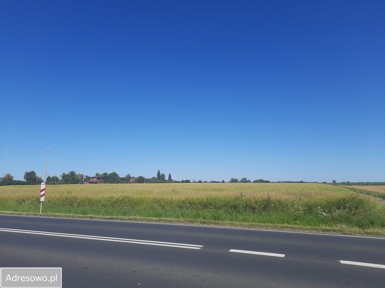 Działka rolna Kuczyna