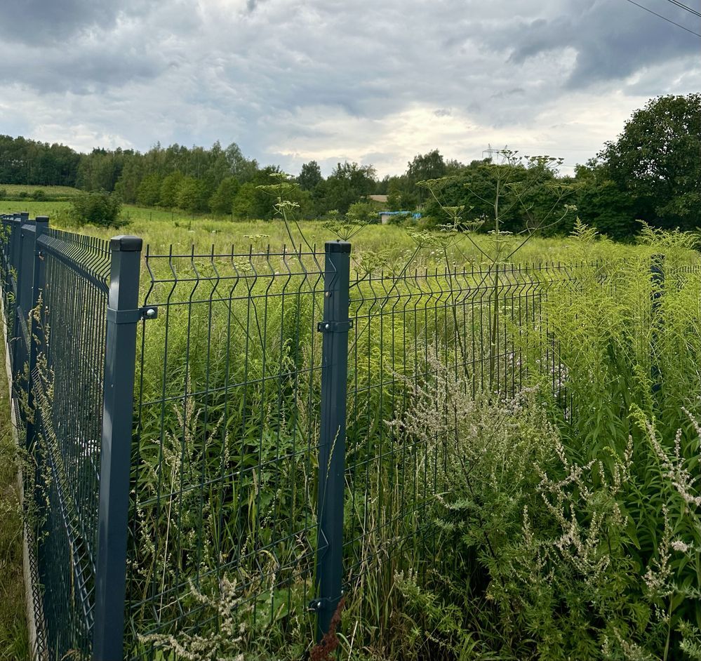 Działka budowlana Byszewy. Zdjęcie 6