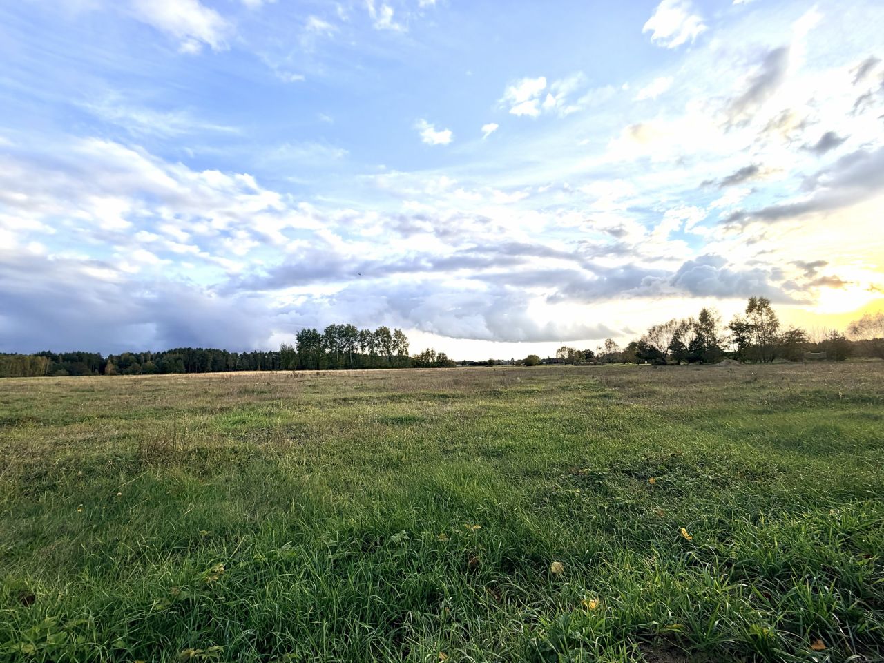Działka budowlana Napiórki Butne. Zdjęcie 4