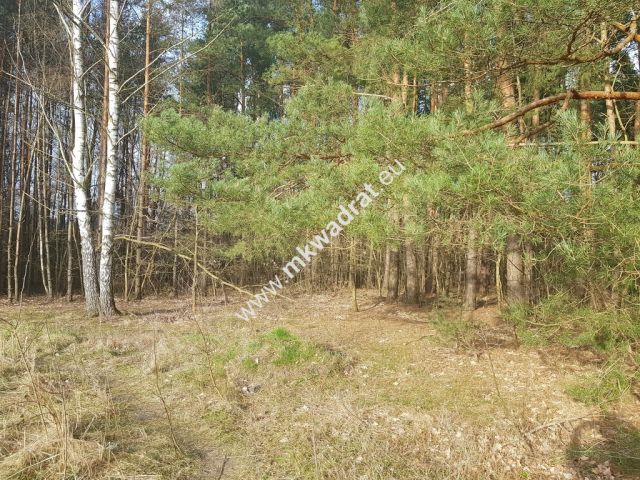 Działka budowlana Bieniewiec. Zdjęcie 8