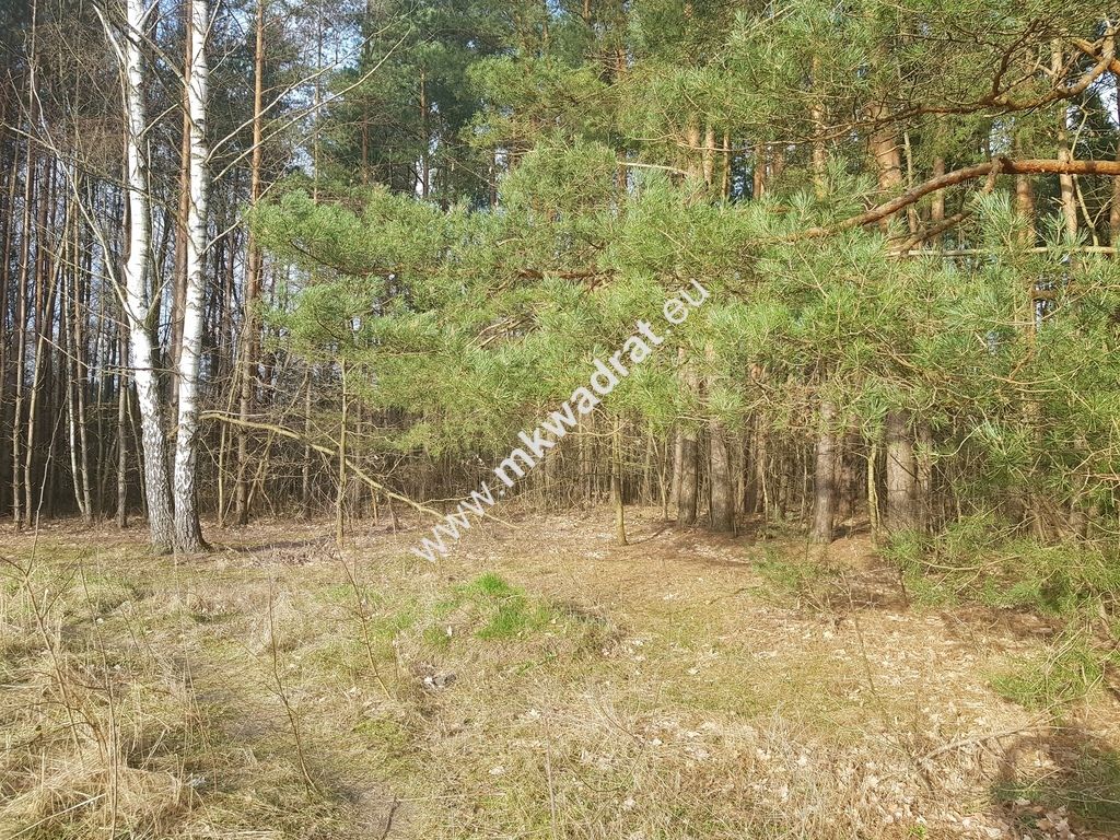 Działka budowlana Bieniewiec. Zdjęcie 8