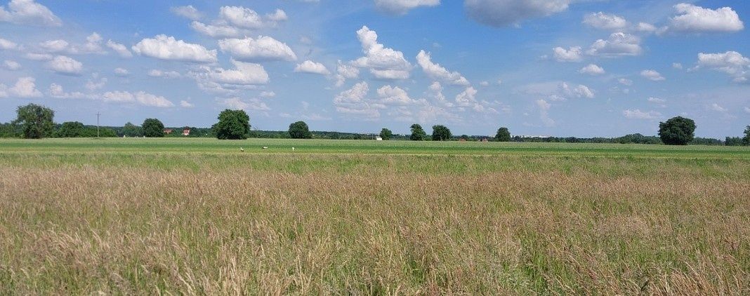 Działka rolna Bronowo. Zdjęcie 1