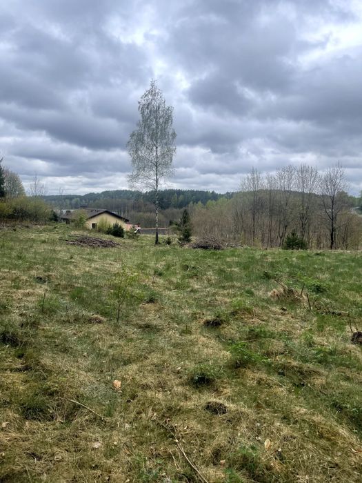 Działka budowlana Studzienice. Zdjęcie 4