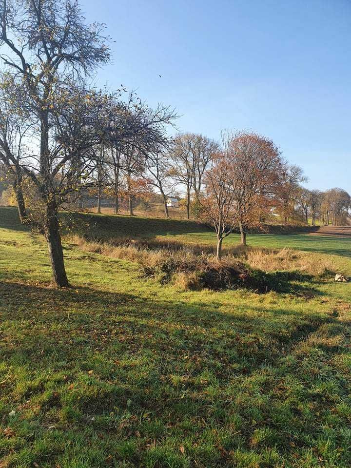 Działka budowlana Chłopowo. Zdjęcie 2