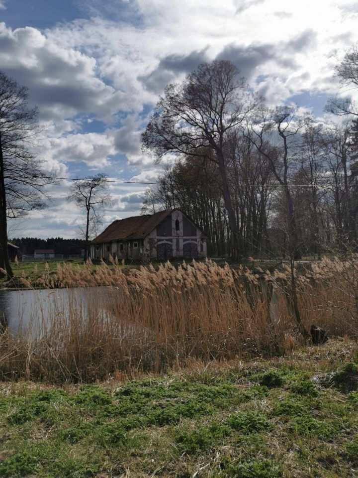 Nieruchomość komercyjna Stare Zadybie. Zdjęcie 3