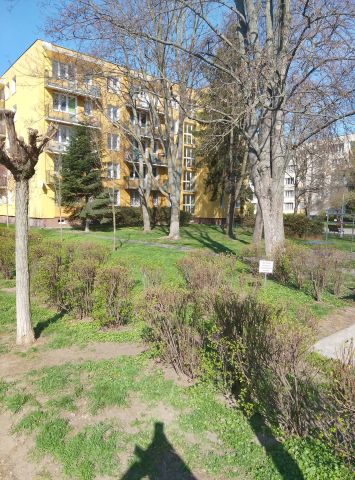 Mieszkanie 3-pokojowe Warszawa Saska Kępa, ul. Arabska. Zdjęcie 1