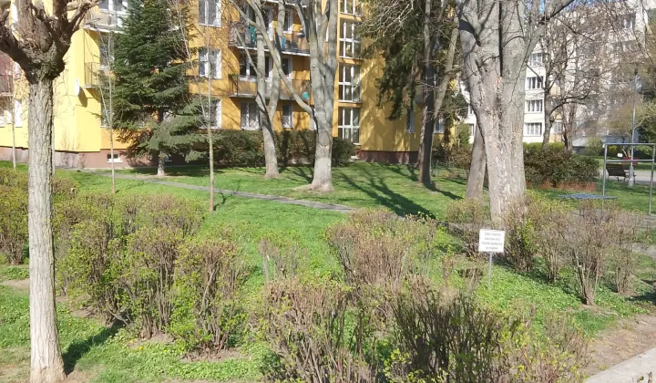 Mieszkanie 3-pokojowe Warszawa Saska Kępa, ul. Arabska