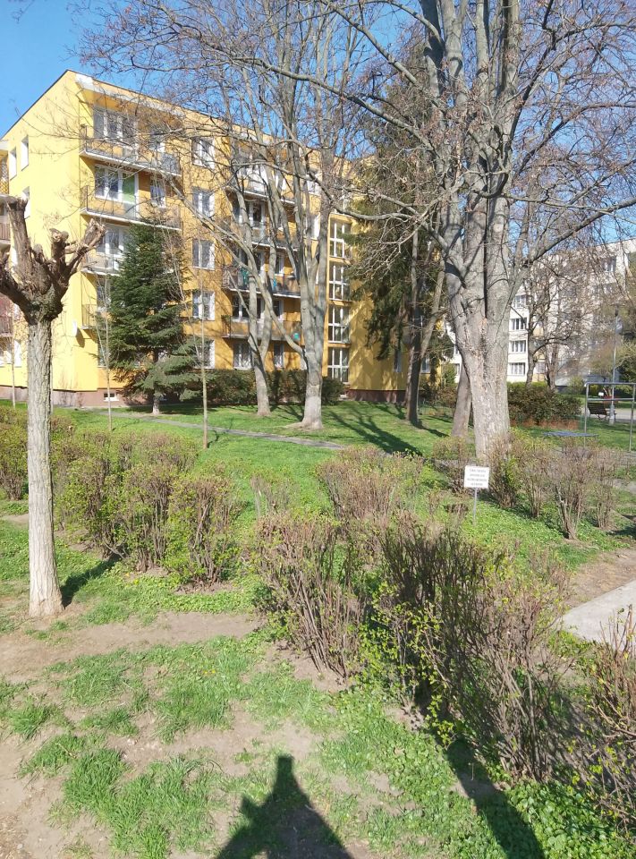 Mieszkanie 3-pokojowe Warszawa Saska Kępa, ul. Arabska. Zdjęcie 3