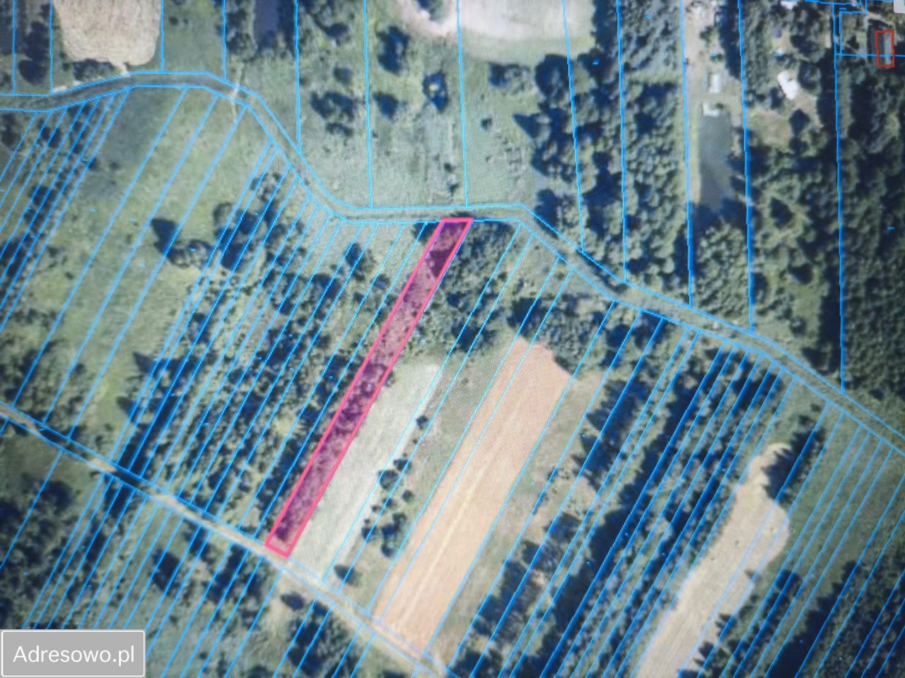 Działka rekreacyjna Nowa Jedlanka. Zdjęcie 8