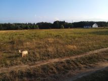 Działka budowlana Dąbie. Zdjęcie 1