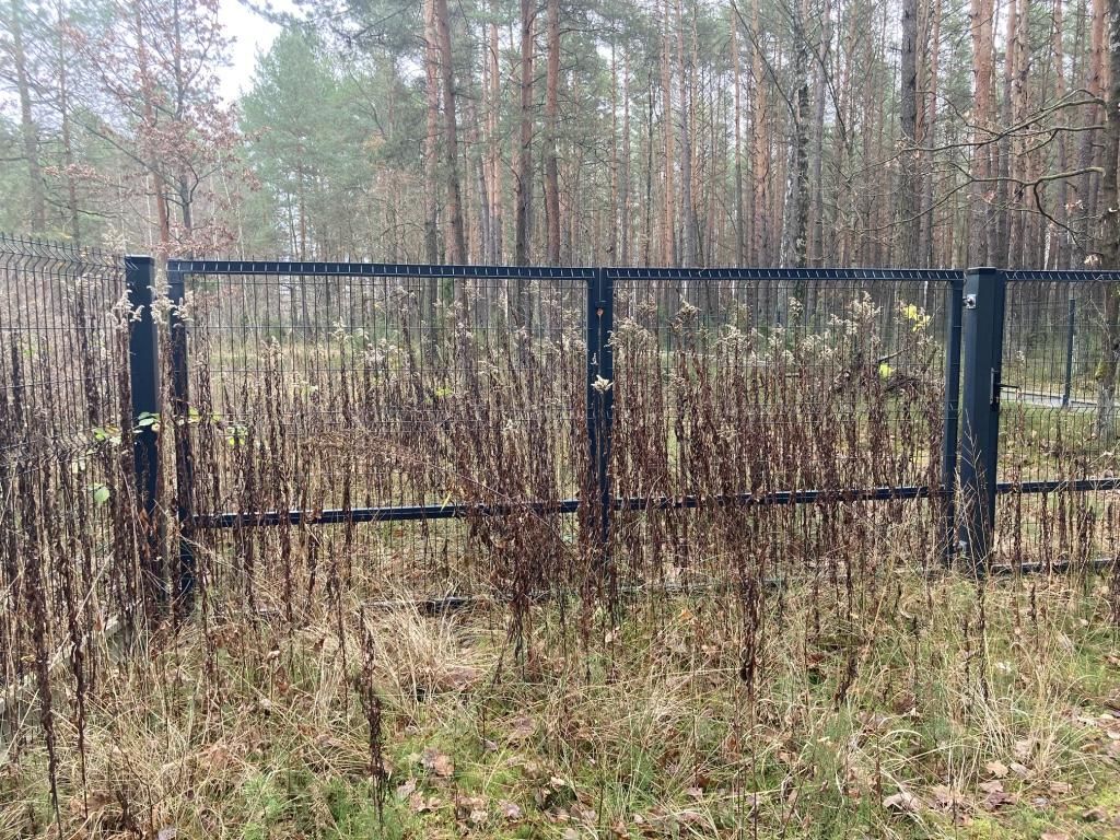 Działka leśna Osieck Kąciki, ul. Porannej Rosy. Zdjęcie 9