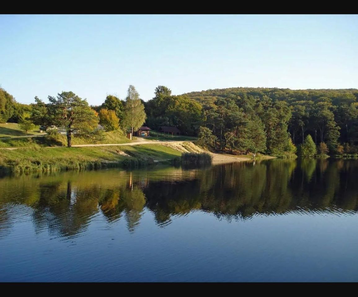 Działka rolno-budowlana Rogóźno. Zdjęcie 5