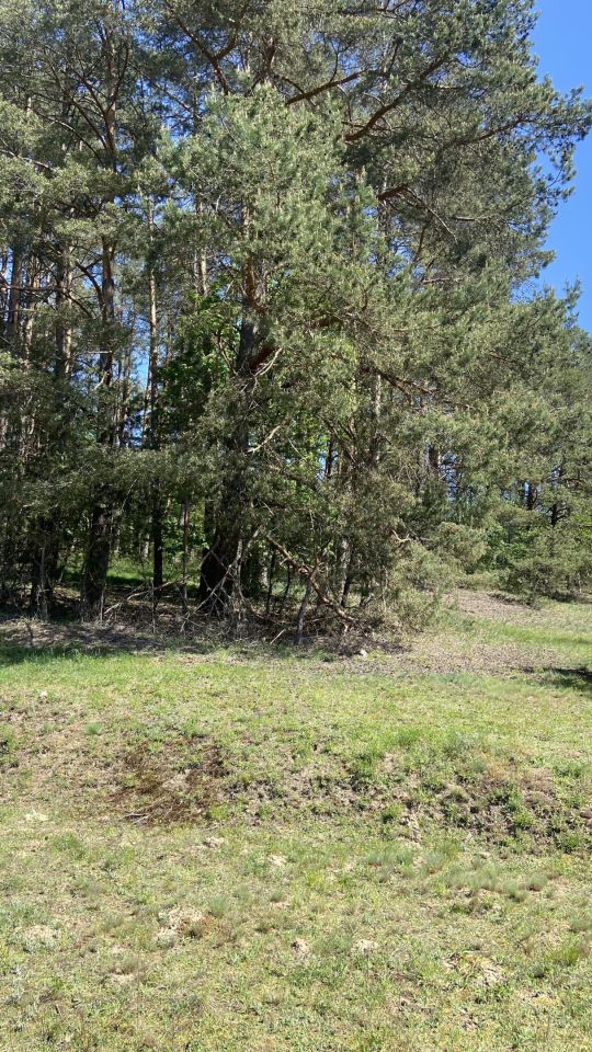 Działka rolno-budowlana Narty, ul. Długa. Zdjęcie 4